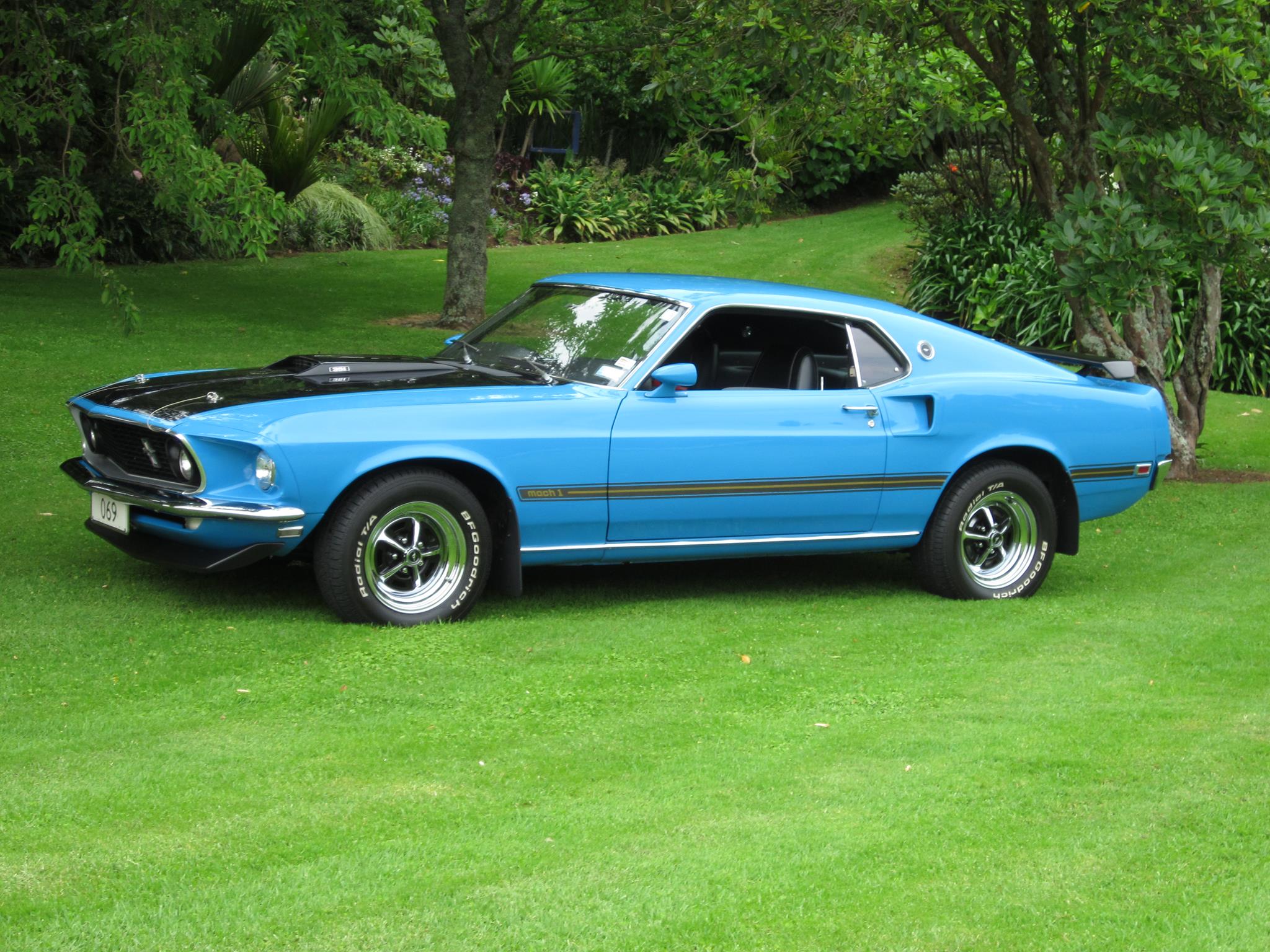 1969 Mustang Fastback Body