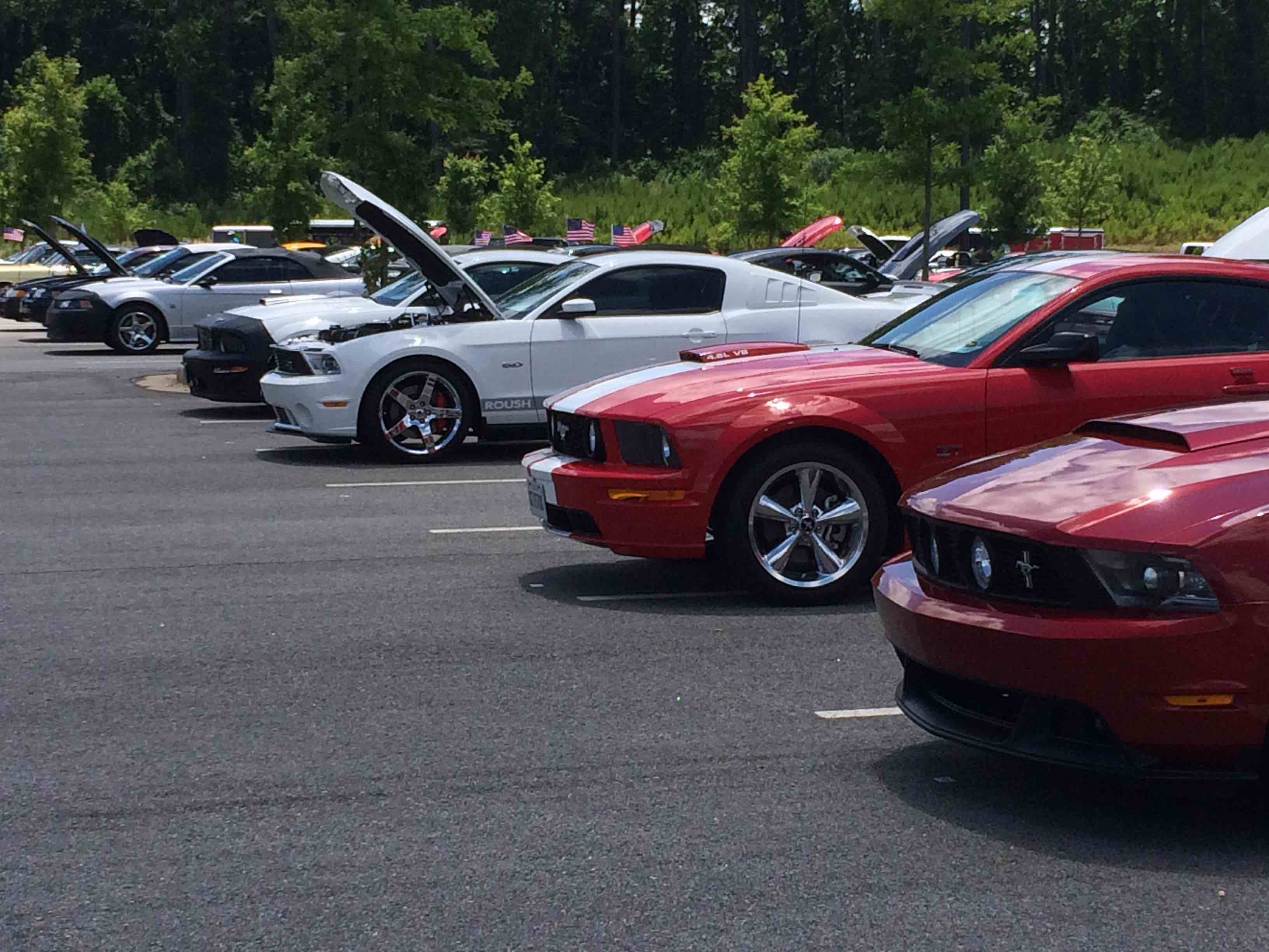 Modern ford mustangs at a car show 2016