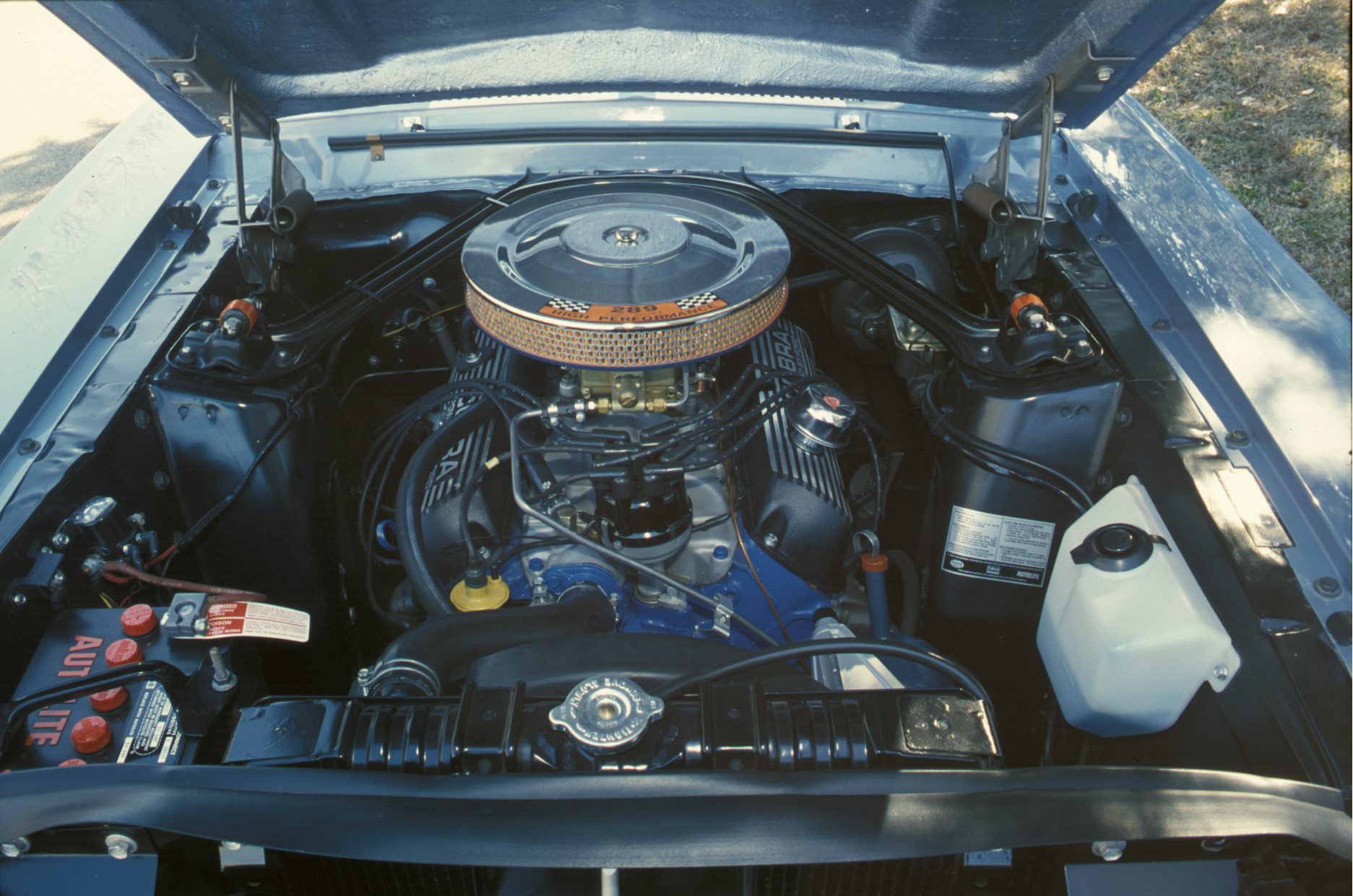 Shelby GT350 K-code 289 V8 Engine